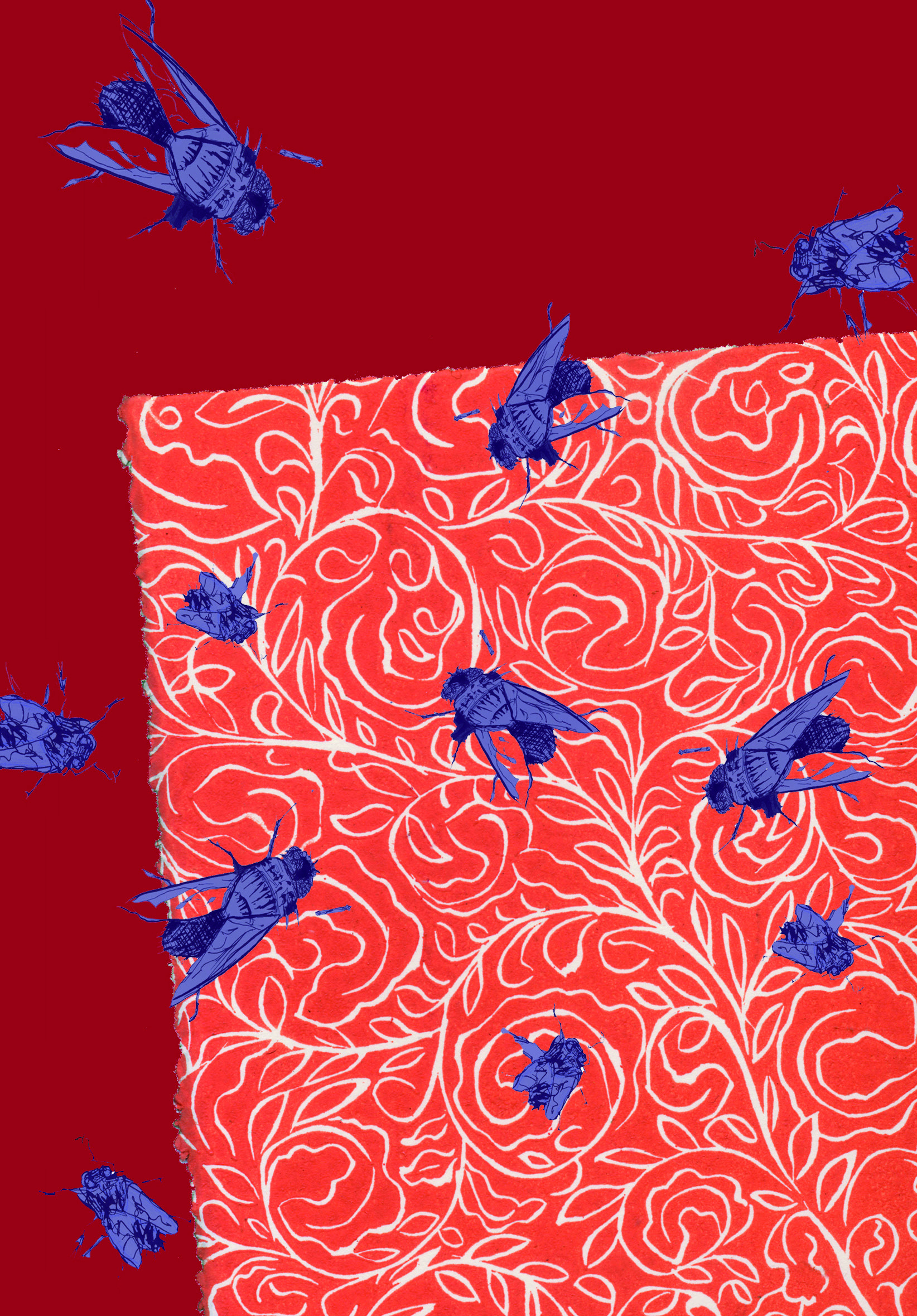carton_plasticiens-1.jpg