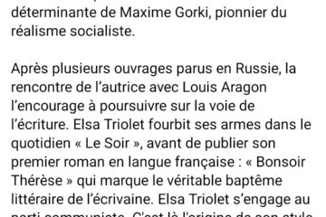 Screenshot_TRIOLET-2_Facebook.jpg
