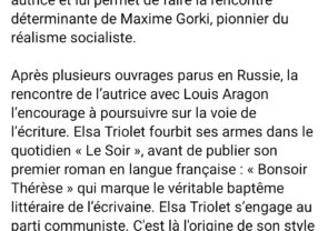 Screenshot_TRIOLET-2_Facebook-2.jpg
